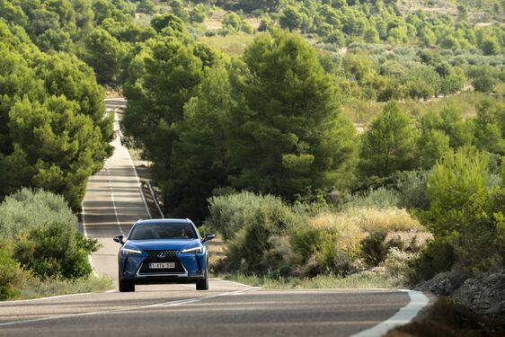 Lexus UX300e