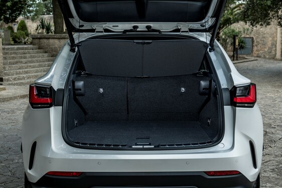 Lexus NX 250