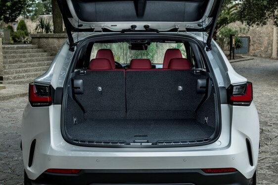 Lexus NX 250