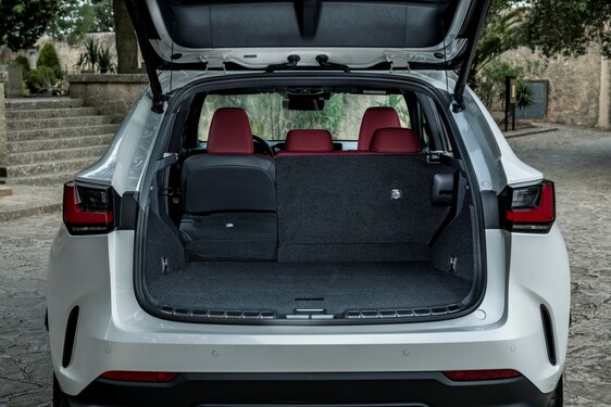 Lexus NX 250