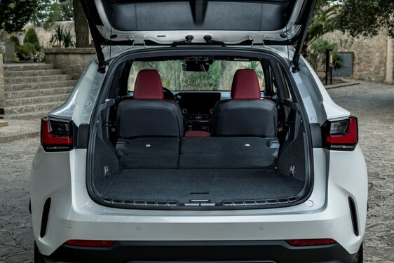 Lexus NX 250