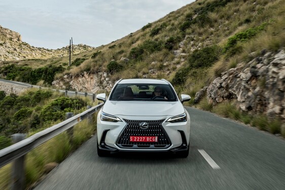Lexus NX 250