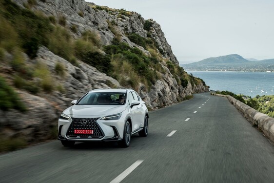 Lexus NX 250