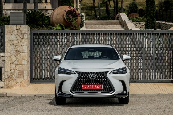 Lexus NX 250