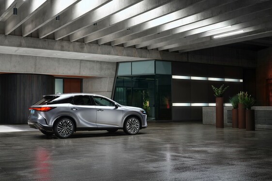 RX LIFESTYLE PICTURES