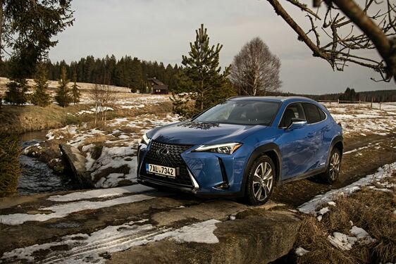 Lexus UX - local