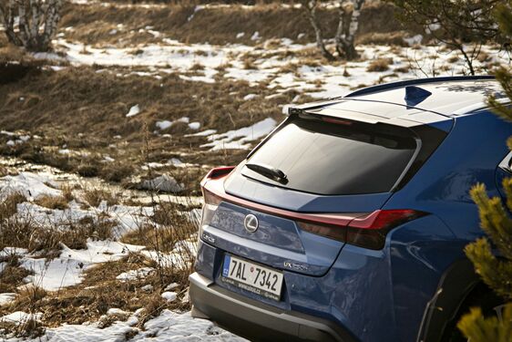 Lexus UX - local