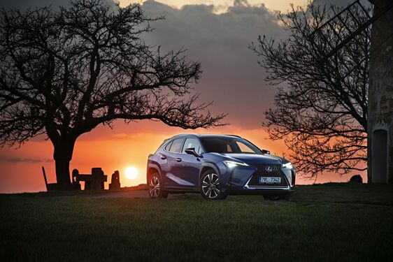Lexus UX - local