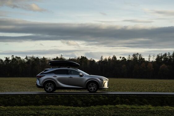 Lexus RX - local