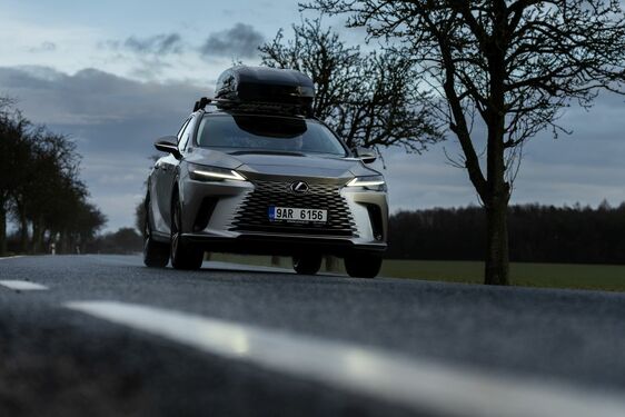 Lexus RX - local