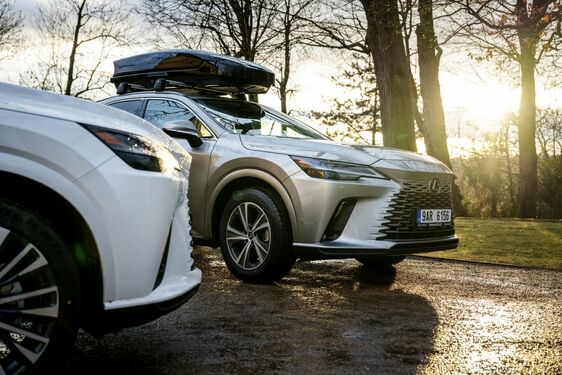 Lexus RX - local