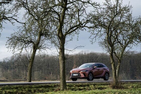 Lexus RX - local