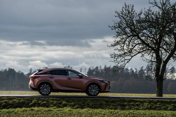 Lexus RX - local