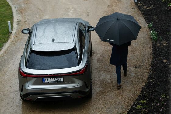 Lexus RX - local