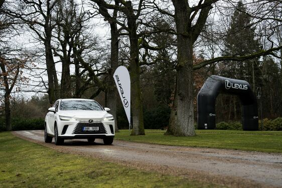Lexus RX - local