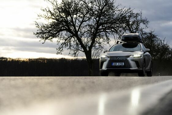 Lexus RX - local