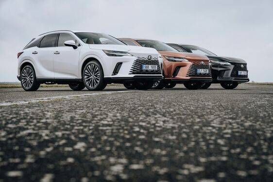 Lexus RX - local