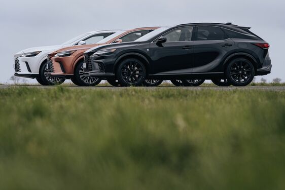 Lexus RX - local