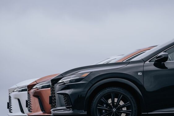 Lexus RX - local