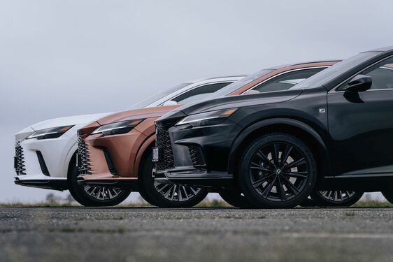 Lexus RX - local