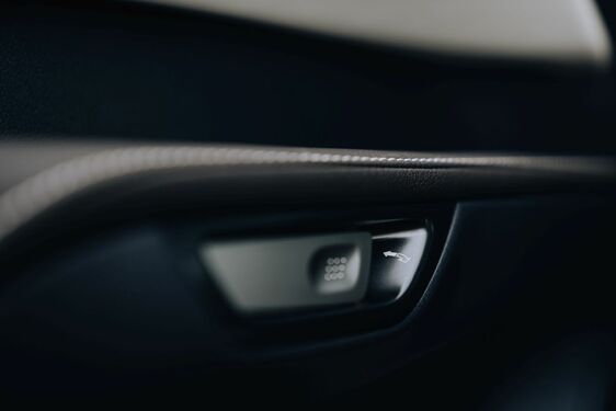 Lexus RX - local