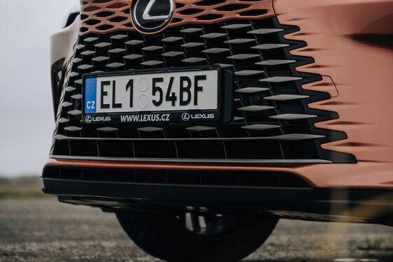 Lexus RX - local
