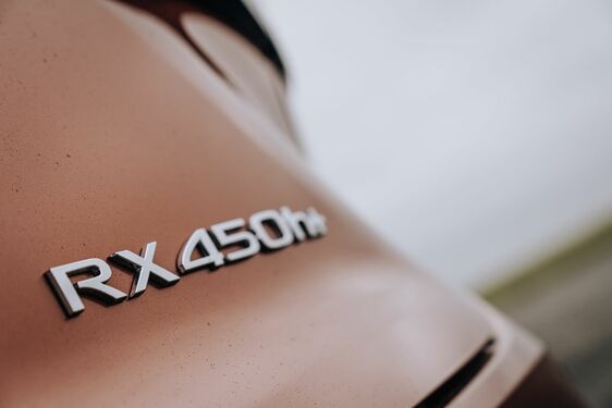 Lexus RX - local