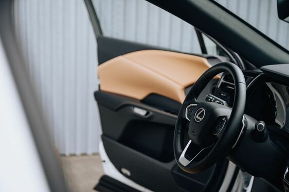 Lexus RX - local