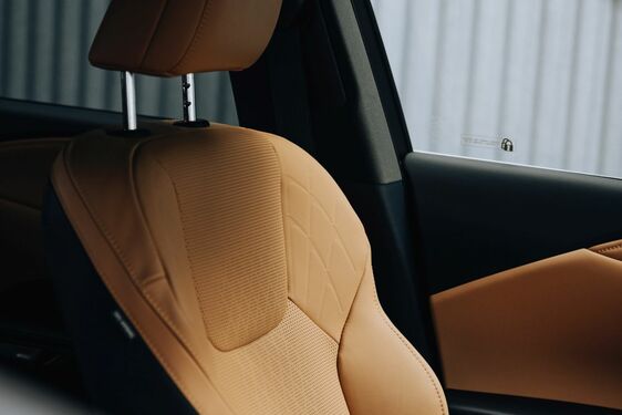 Lexus RX - local