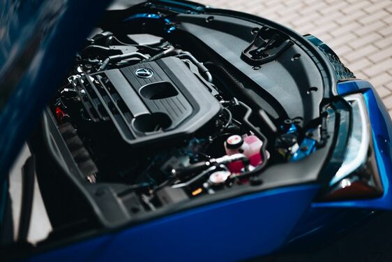 Lexus UX - local 