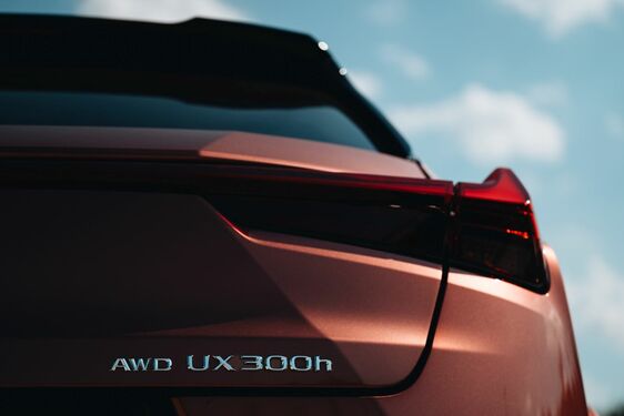 Lexus UX - local 