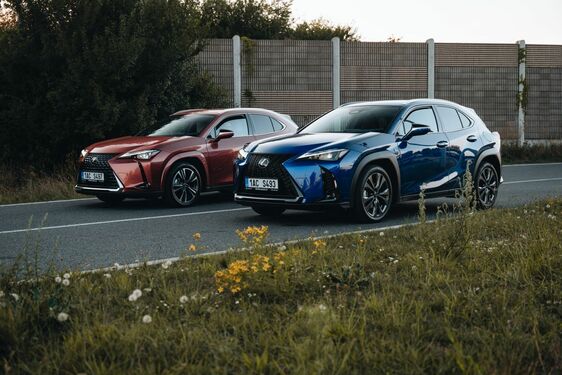 Lexus UX - local 