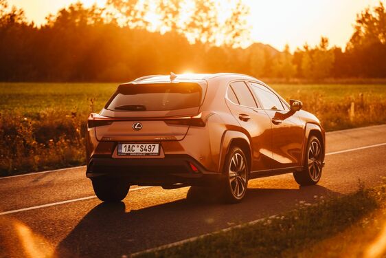 Lexus UX - local 