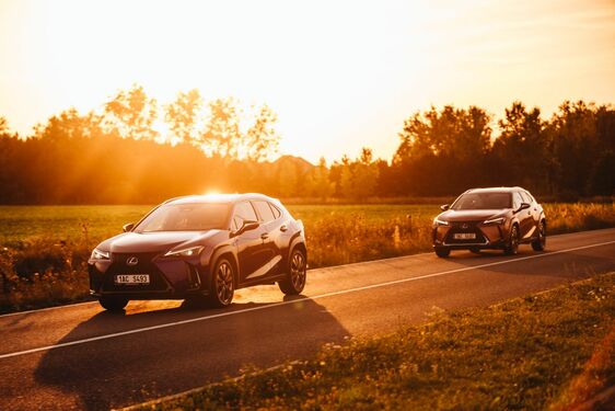 Lexus UX - local 