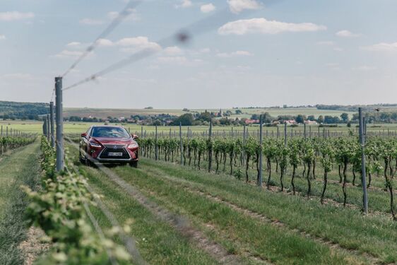 LEXUS PŘICHÁZÍ S  UNIKÁTNÍM PROGRAMEM ZAŽÍT LEXUS