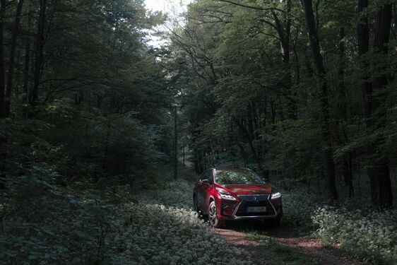 LEXUS PŘICHÁZÍ S  UNIKÁTNÍM PROGRAMEM ZAŽÍT LEXUS