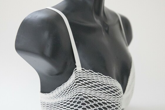 LEXUS DESIGN AWARD:  PODPRSENKA Z 3D KRAJKY NEBO TURBÍNA DO LETADLA 