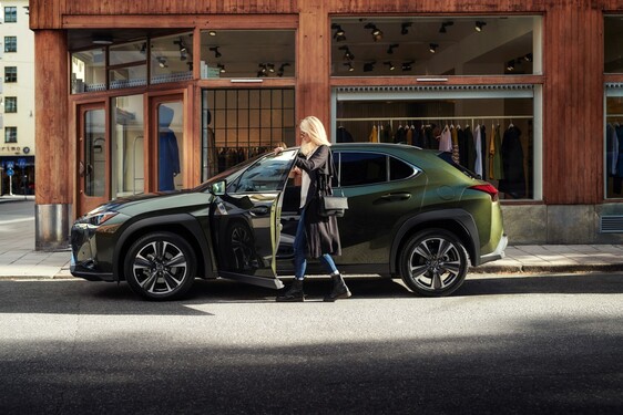 2019 UX 250h