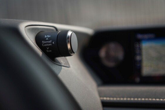 2019 UX 250h