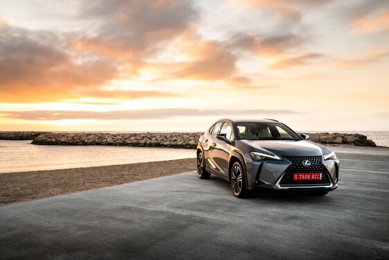 2019 UX 250h
