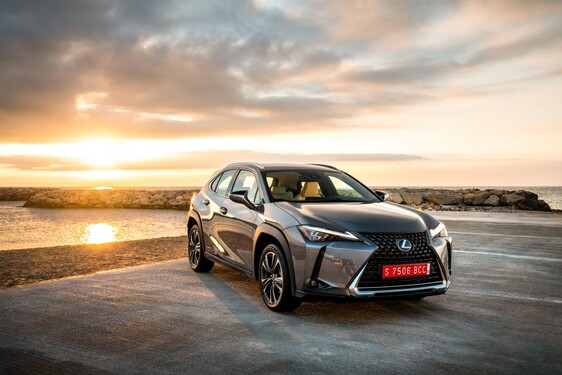 2019 UX 250h