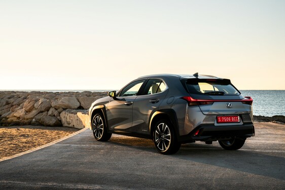 2019 UX 250h