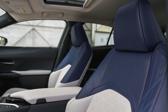 2019 UX 250h
