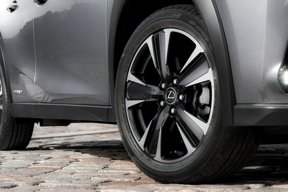 2019 UX 250h