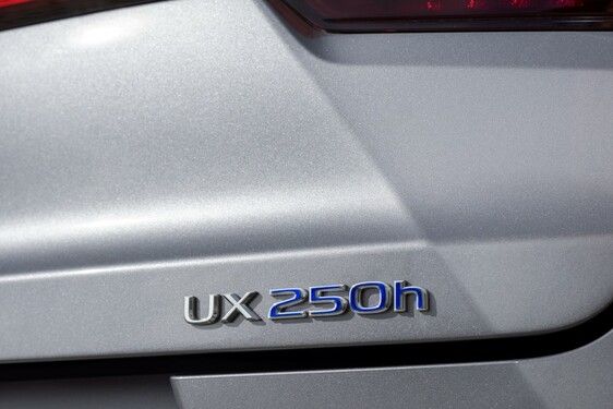 2019 UX 250h