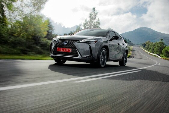 2019 UX 250h