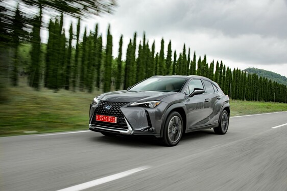 2019 UX 250h