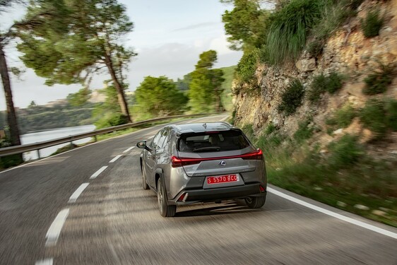 2019 UX 250h