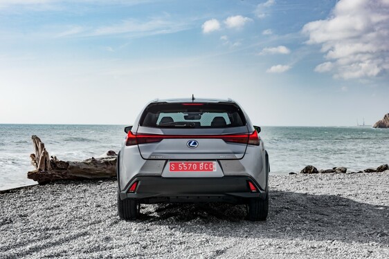 2019 UX 250h