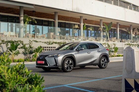 2019 UX 250h